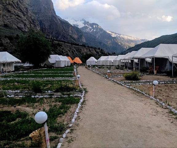 TIH Bhaga Eco Camp Himachal Pradesh Keylong Hiking
