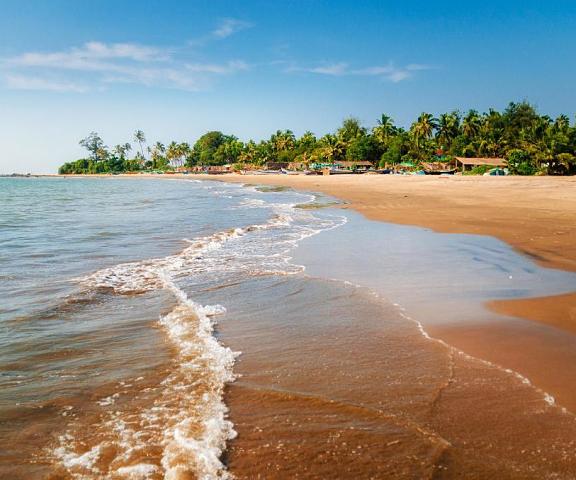 Travelholic Luxury Goa Goa Hotel View