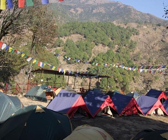 Triund Camps Riverside Resort Himachal Pradesh Dharamshala Hotel View
