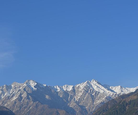 Centre Point Resorts And Club Himachal Pradesh Palampur View from Property