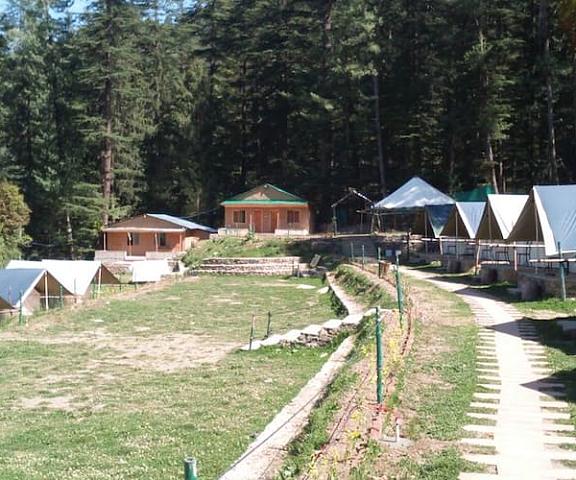 Camp Mashobra Greens Himachal Pradesh Shimla Overview