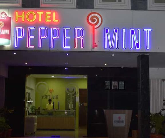 Peppermint Hotel Tamil Nadu Hosur external view
