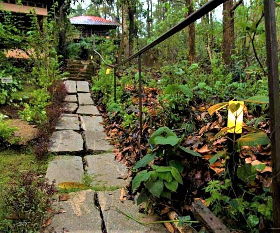 Jungle Retreat Wayanad Kerala Wayanad Outdoors
