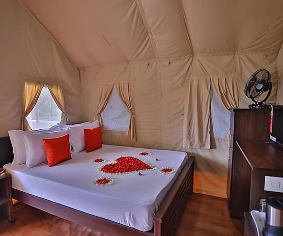 Chalona Jungle Stay Kerala Munnar Modern Luxury Tent