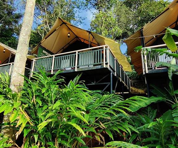 Chalona Jungle Stay Kerala Munnar Hotel Exterior