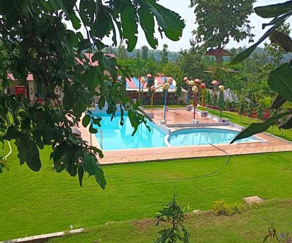 Treebones resort and adventure park Gujarat Saputara Swimming Pool