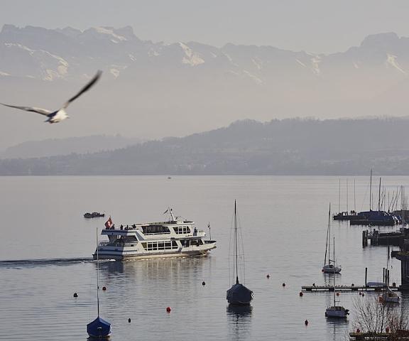 ALEX - Lakefront Lifestyle Hotel & Suites Canton of Zurich Thalwil View from Property