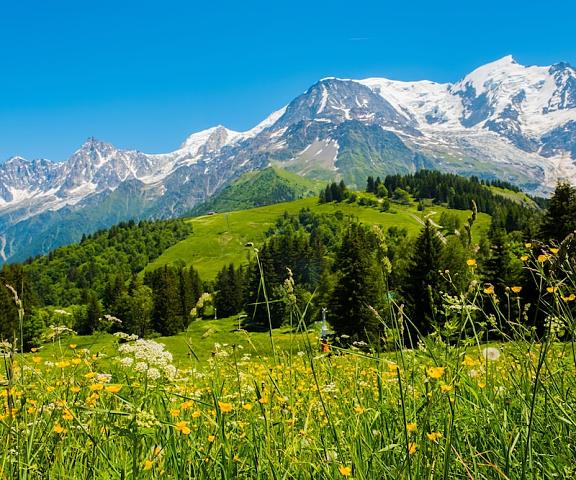 Novotel Megève Mont-Blanc Auvergne-Rhone-Alpes Megeve Exterior Detail