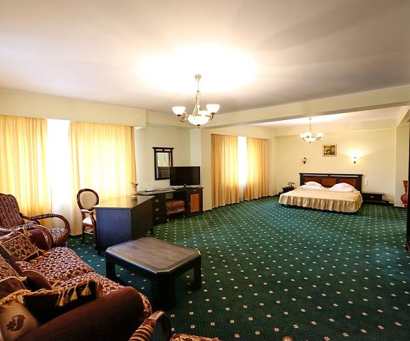Victoria Hotel null Pitesti Room
