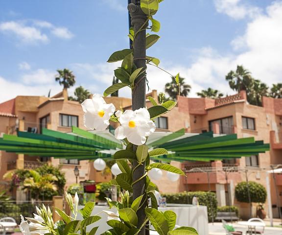Hotel Villa Mandi Golf Resort Canary Islands Arona Exterior Detail