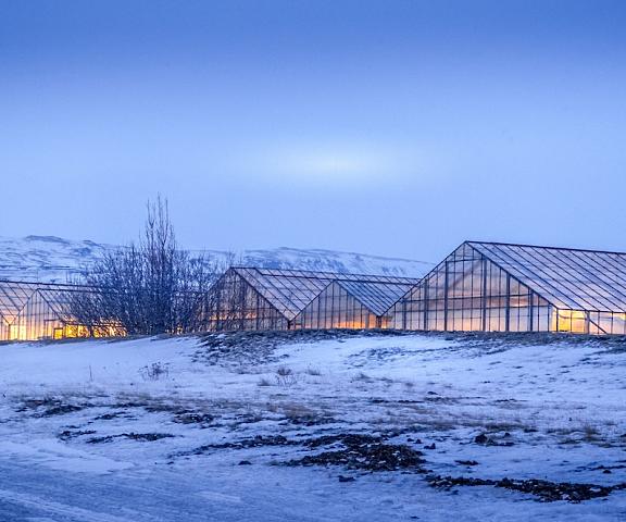 The Greenhouse Hotel South Iceland Hveragerdi View from Property