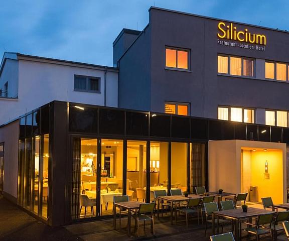 Hotel Silicium Rhineland-Palatinate Hoehr-Grenzhausen Exterior Detail