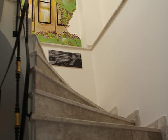 Butik Akvaryum null Adalar Staircase