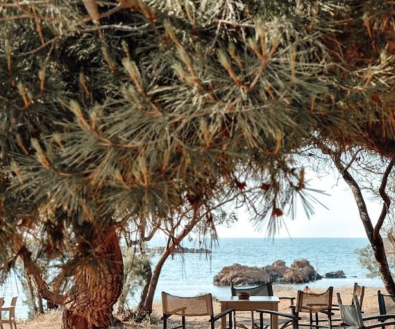 Airis Boutique & Suites Crete Island Chania Beach