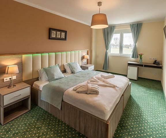 Mein Palace Hotel Hessen Hattersheim Room