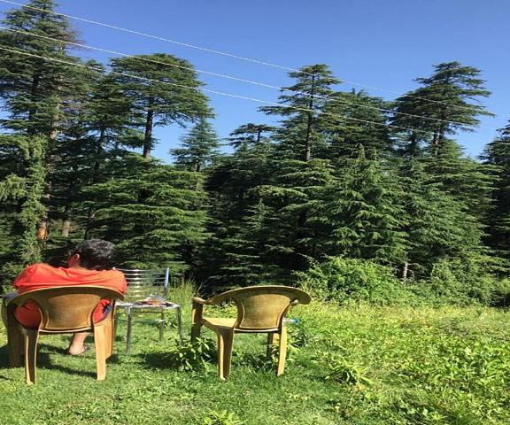 Abhi Homestay by StayApart Himachal Pradesh Khajjiar Garden