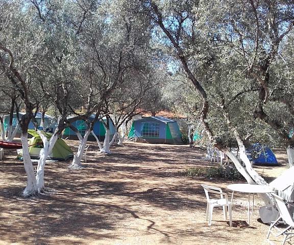 Camping Chania Crete Island Chania Exterior Detail