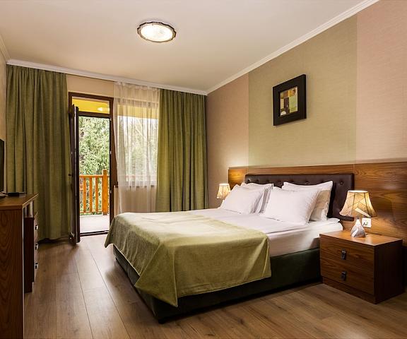 Hotel Elbrus SPA & Wellness null Velingrad Room