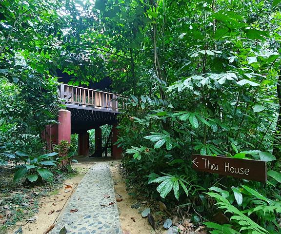 Our Jungle House Surat Thani Phanom Exterior Detail