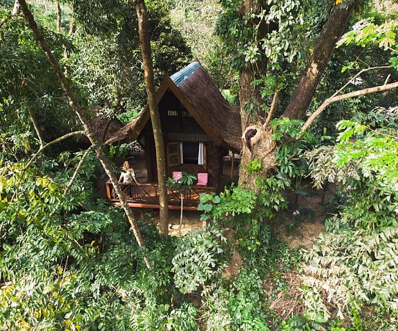 Our Jungle House Surat Thani Phanom Porch