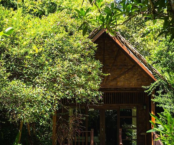 Our Jungle House Surat Thani Phanom Facade