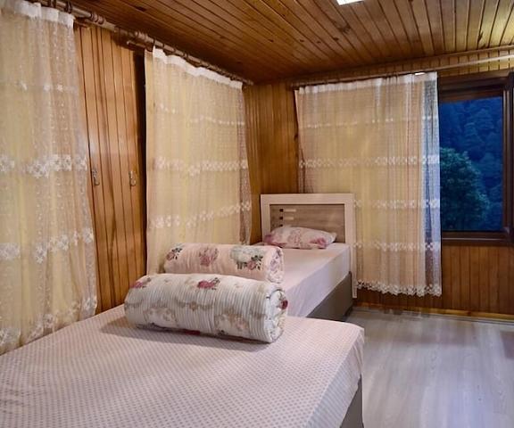 Ayder Ardic Apart Rize Rize Room