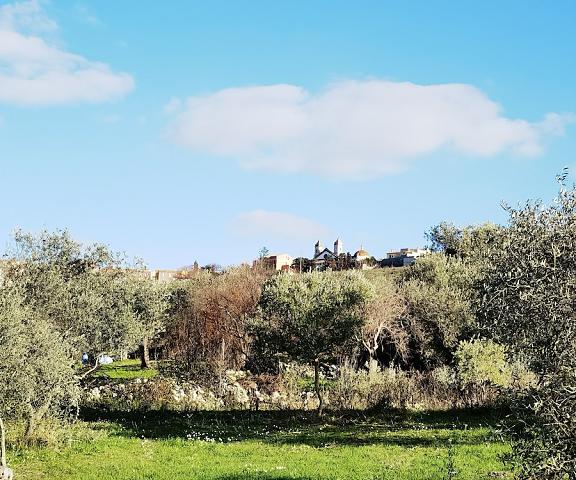 la corte degli ulivi Sardinia Tresnuraghes Exterior Detail