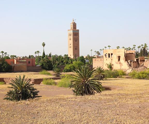 Riad Sidi Mimoune null Marrakech Exterior Detail
