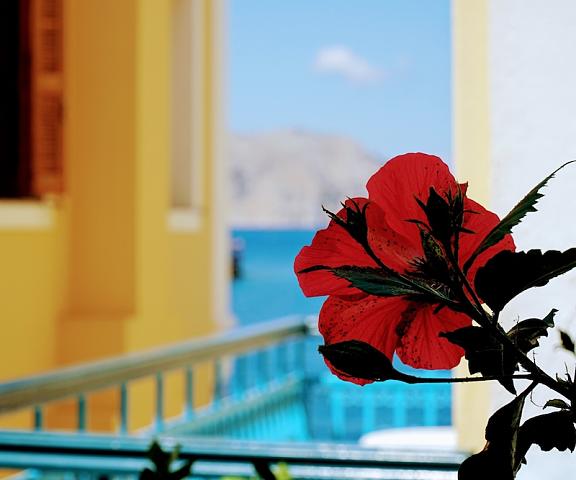 Marikas Deluxe Rooms null Symi View from Property