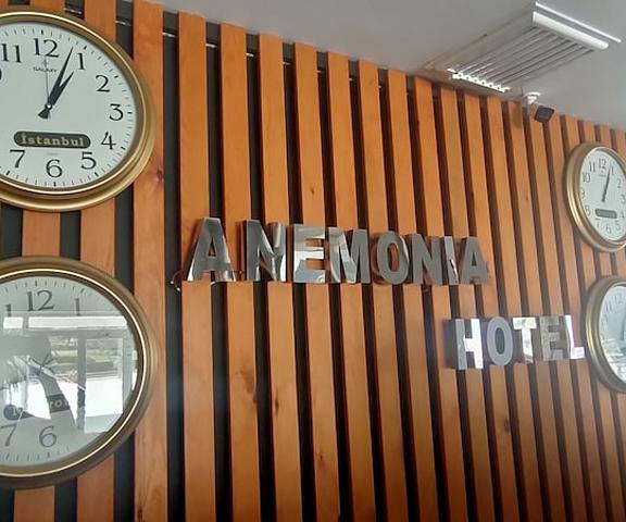 Anemonia Hotel null Anamur Reception