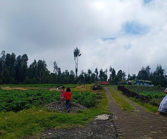Elen Homestay by ABM East Java Ngadisari Property Grounds