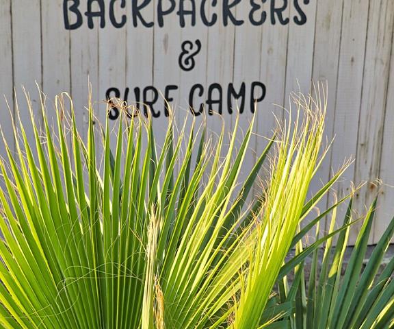 Salty Jackal Backpackers & Surf Camp null Swakopmund Facade