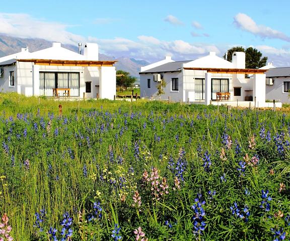 Duikersdrift Winelands Country Escape Western Cape Tulbagh Exterior Detail
