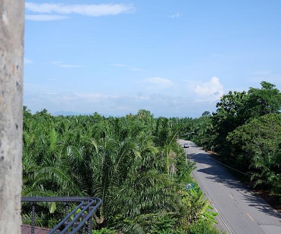 Black Elephant Boutique Surat Thani Phunphin View from Property