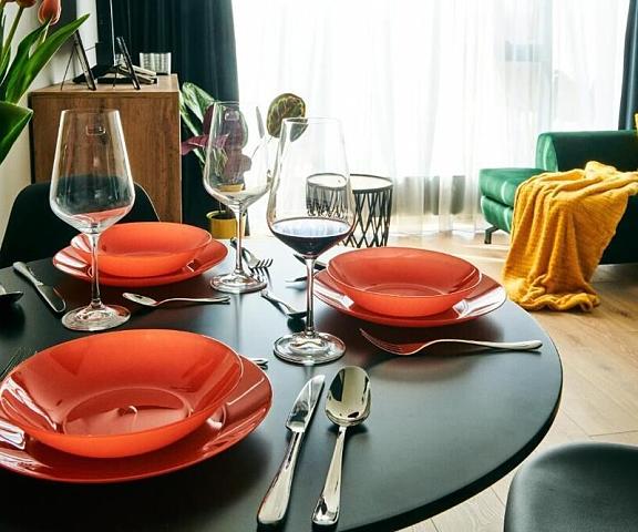 Easy Rent Apartments - DIAMOND Lublin Voivodeship Lublin Kitchen