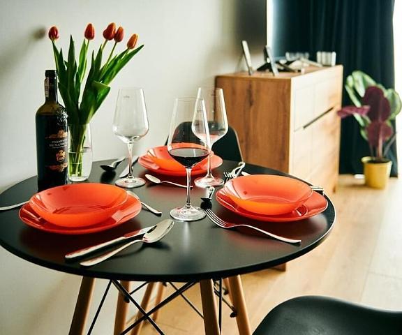 Easy Rent Apartments - DIAMOND Lublin Voivodeship Lublin Kitchen