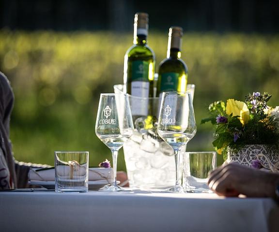 Cobue Wine Resort & SPA Lombardy Pozzolengo Garden