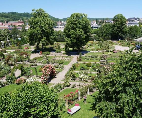 Le Jardin des Roses Grand Est Saverne Property Grounds