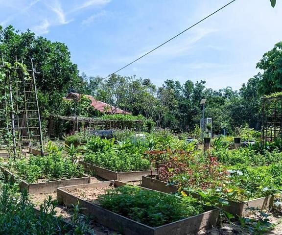Thai Gia Trang Farmstay Thua Thien-Hue Hue Courtyard