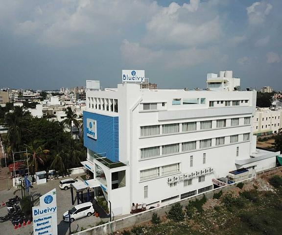Hotel Blueivy Gujarat Anand Primary image