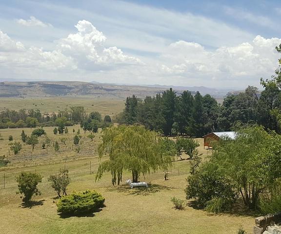 The Fat Mulberry Guesthouse Free State Fouriesburg Property Grounds