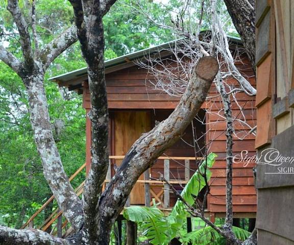 Tree house sigiri queens rest Central Province Dambulla Aerial View