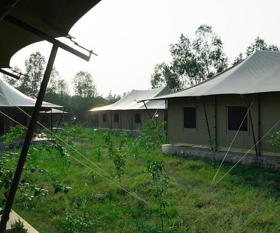 Aalia Jungle Bandarjudh Uttaranchal Roorkee Room
