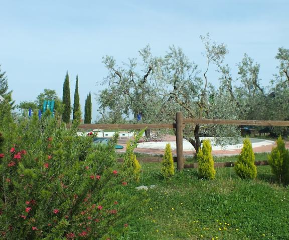 Agriturismo San Martino Tuscany Ponsacco Exterior Detail