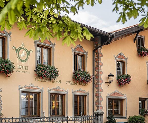 Cavallino d'Oro Trentino-Alto Adige Castelrotto Exterior Detail