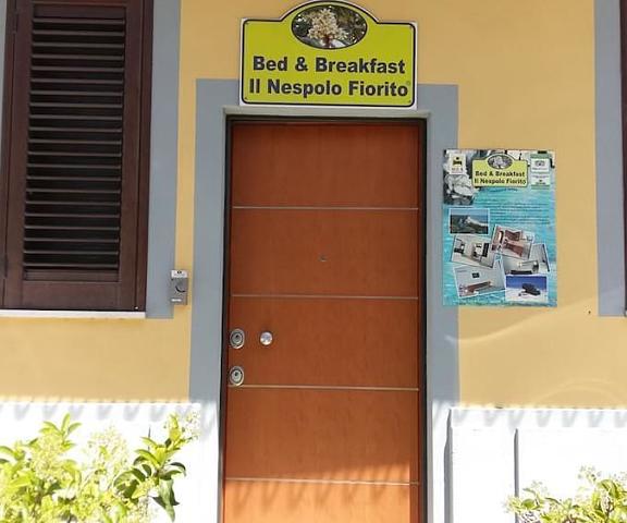 Il Nespolo Fiorito Sardinia Orosei Interior Entrance