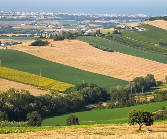 La Viola e il Sole Marche Fermo Land View from Property