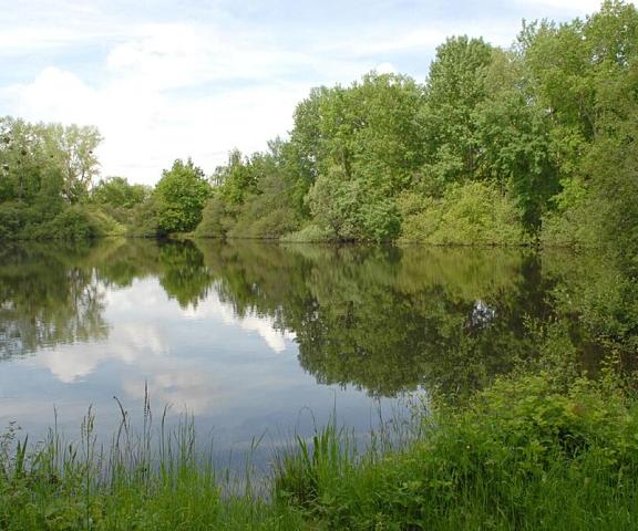Domaine De La Gaucherie Nouvelle-Aquitaine Langon Lake