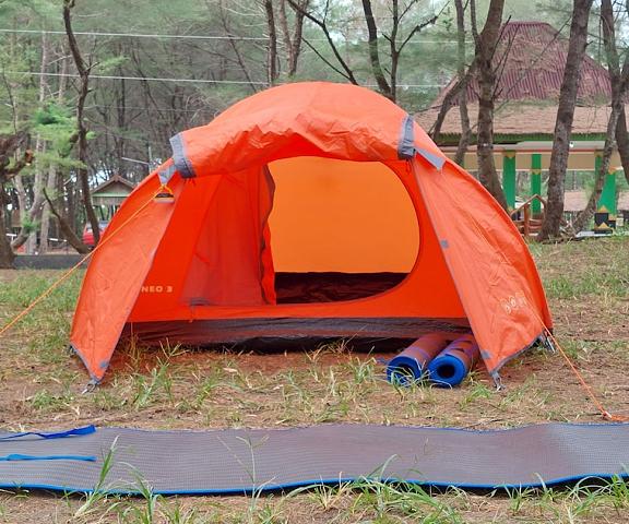 Goa Cemara Camping Ground null Parangtritis Facade