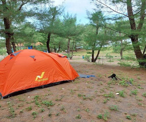 Goa Cemara Camping Ground null Parangtritis Exterior Detail